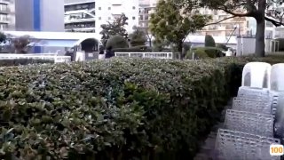 EBOD-780 ヤラせてくれそう…（ごくり） 黒尻Tバックでくつろぐ彼女のギャル妹に気付けば生チ●ポ挿れて必死に腰振ってた。 蘭華